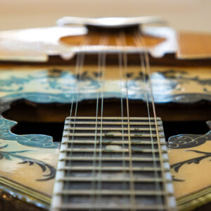 Μάθημα μπουζουκιού στο Ωδείο Μελιγαλά